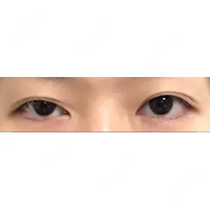 口コミ