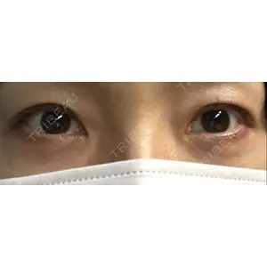 口コミ
