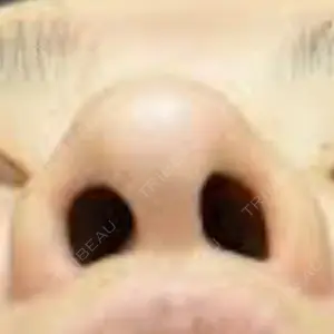 口コミ