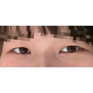 口コミ