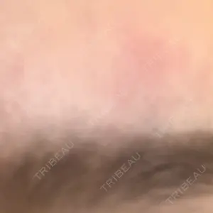 共立美容外科・歯科 共立美容外科 福岡院口コミ