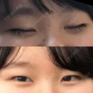 口コミ