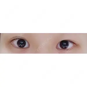口コミ