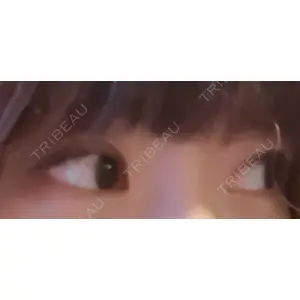 口コミ