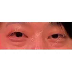口コミ