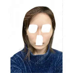 セギム美容整形外科の