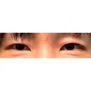 口コミ