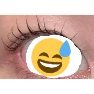 口コミ