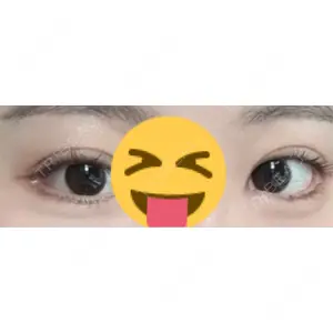 口コミ