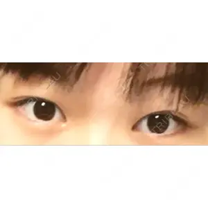 口コミ