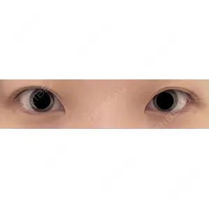 口コミ