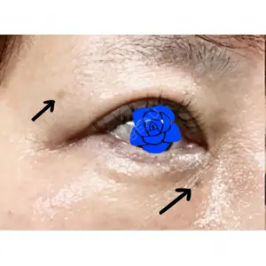口コミ