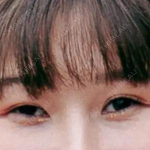 口コミ