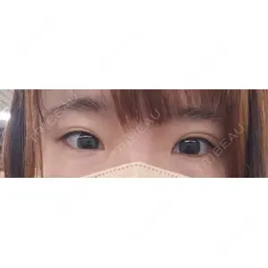 口コミ