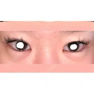 口コミ
