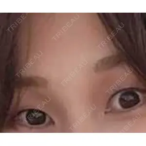 口コミ