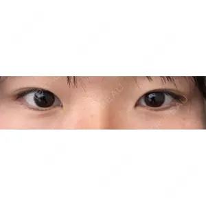 口コミ