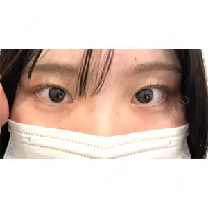 口コミ