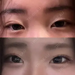 口コミ