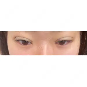 口コミ