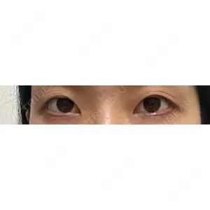 口コミ