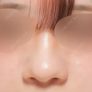 口コミ