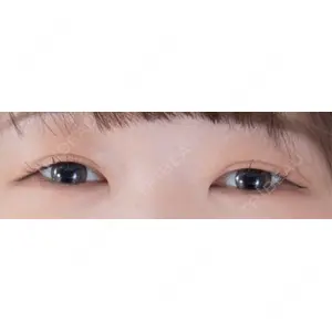 口コミ