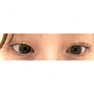 口コミ
