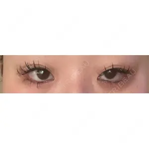 口コミ