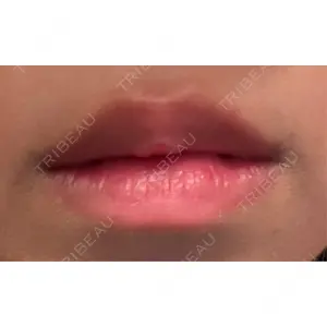 口コミ