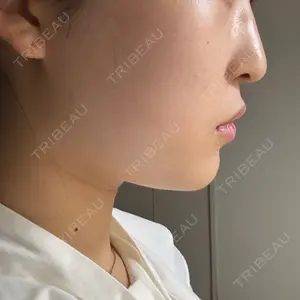 口コミ