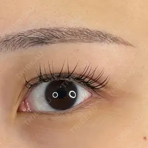口コミ