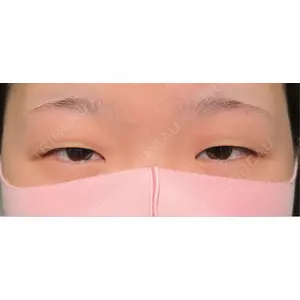 口コミ