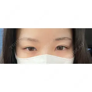 口コミ