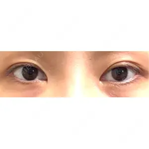 口コミ