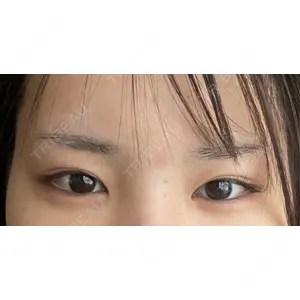 口コミ