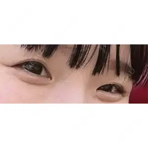 口コミ