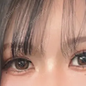 口コミ