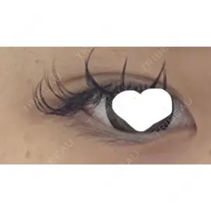 口コミ