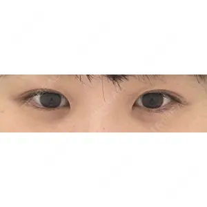 口コミ