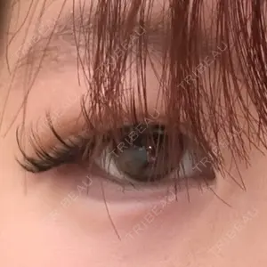 口コミ