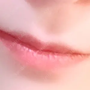口コミ