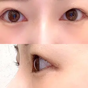 口コミ