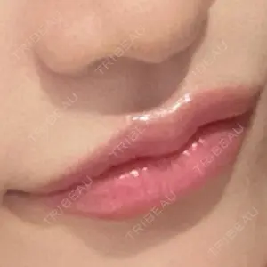 口コミ