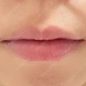口コミ