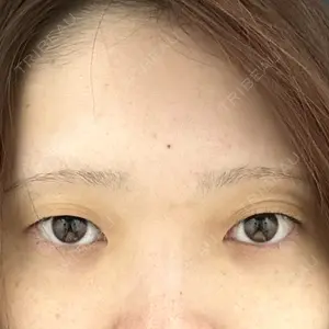 口コミ