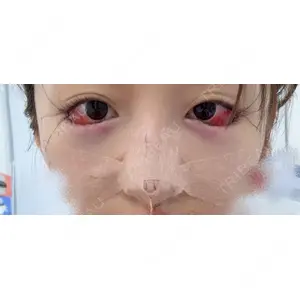 口コミ