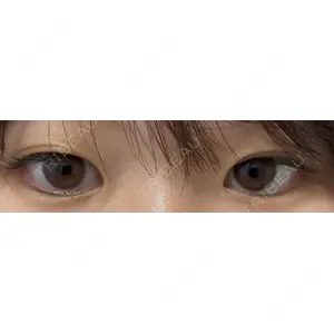 口コミ