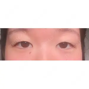 口コミ