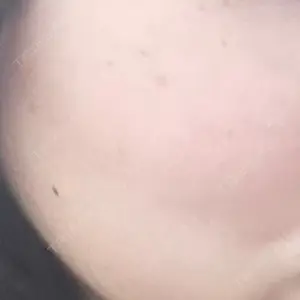 口コミ